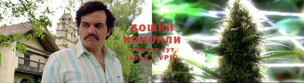 кокаин перу Богданович