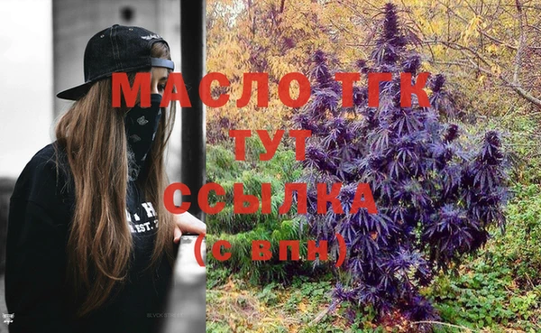 индика Дмитровск