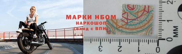 прущие грибы Богородск