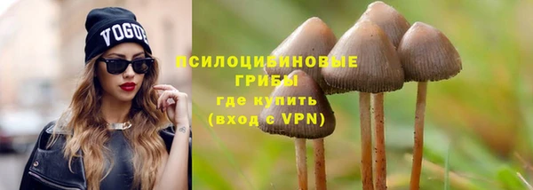 гидропоника Богородицк