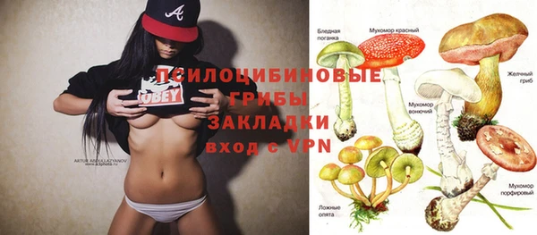 кокаин перу Богданович