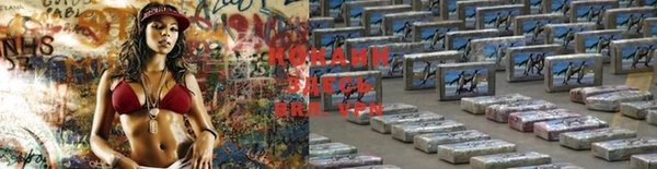 прущие грибы Богородск