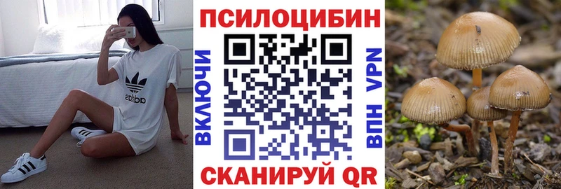 Галлюциногенные грибы Psilocybe  дарнет шоп  Сланцы 
