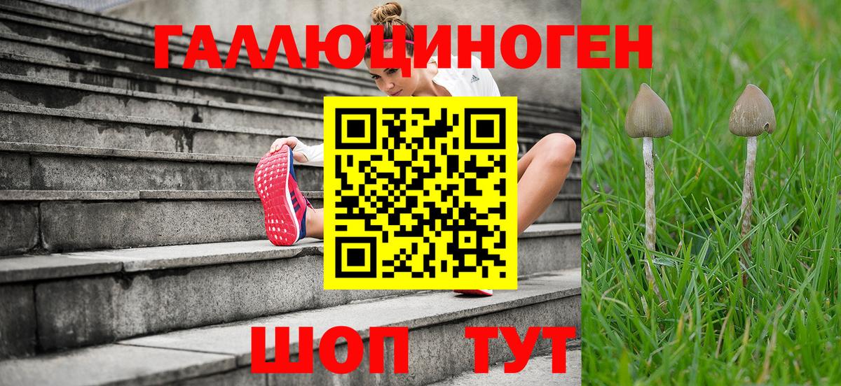 Псилоцибиновые грибы Magic Shrooms  Галлюциногенные грибы Psilocybine cubensis  Вход с VPN  Сланцы 